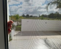 Fliegengitter, noch eins davon