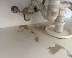 Unterschrank. Selbst die Ekelpickel auf meiner Hand bekamen Ekelpickel