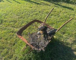 Eine durchgerostete Schubkarre mit... keine Ahnung