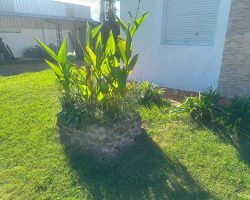 schön gepflegtes Beet