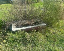 gepflegte Tiertränke