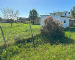 Hühnergarten in der Straßenansicht