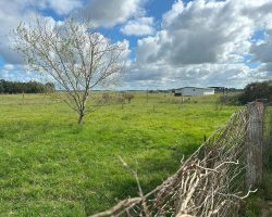 Urugugay ist schön! Der Hühnerauslauf ist zugegebenermaßen ok so.