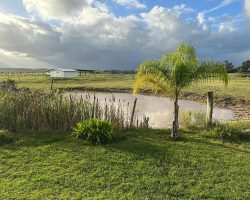 Beobachten Sie die Pferde. Diese wurden übrigens beizeiten entfernt