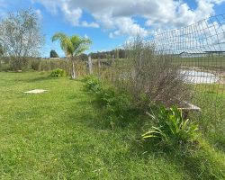 Garten zum Erholen und Entspannen. Kennen Sie das Bild mit dem die Comans werben?