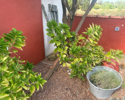 Ecke mit Dekor im Eingangsbereich