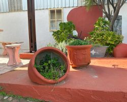 Das sah früher bestimmt mal schön bepflanzt aus