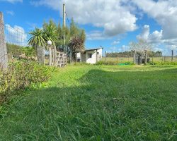 Blick am Zaun entlang auf das Hundegehege