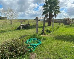 Blick auf das Hundegehege. Auch hier, kennen Sie das Bild mit dem die Comans werben?