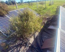 Blick zwischen die aufgereihten Panel